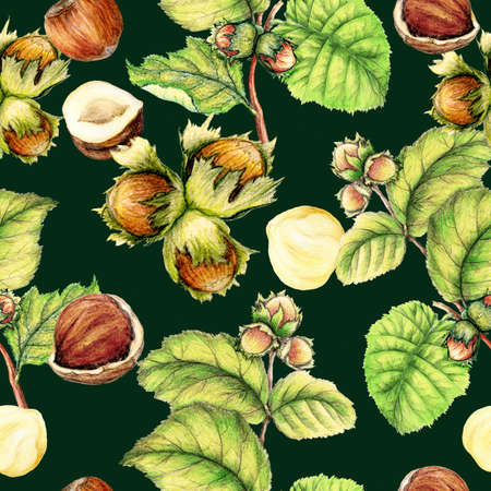 Seamless pattern of hand drawn hazelnutsの写真素材