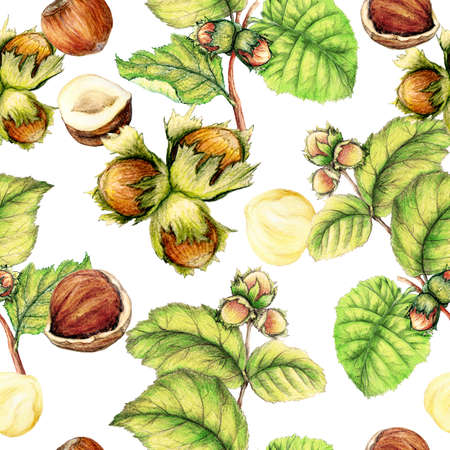 Seamless pattern of hand drawn hazelnutsの写真素材