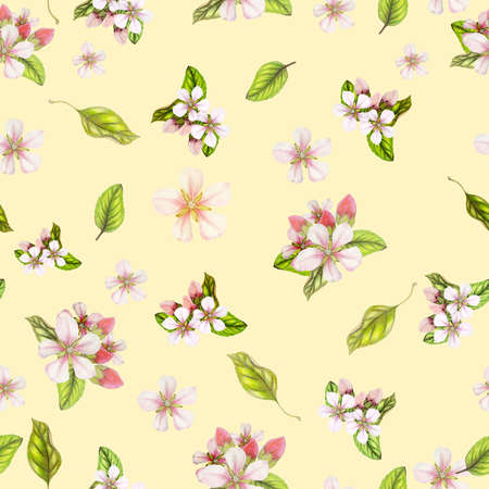 Seamless botanical pattern of hand drawn watercolor apple flowersの写真素材