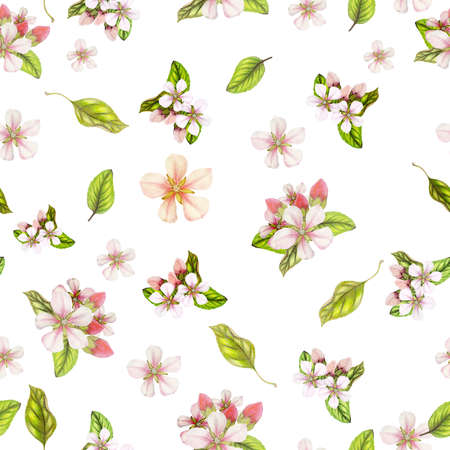 Seamless botanical pattern of hand drawn watercolor apple flowersの写真素材