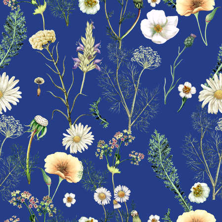 Watercolor seamless pattern of  hand drawn wildflowersの写真素材