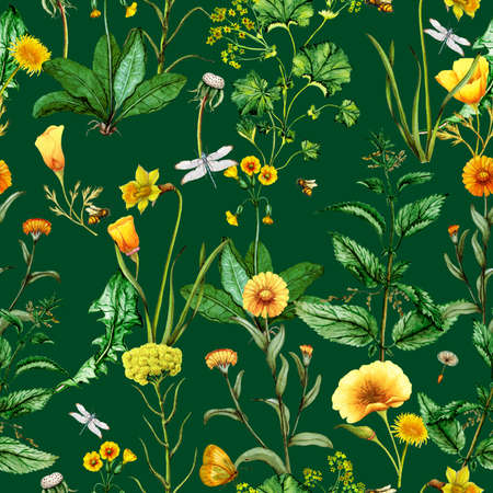Watercolor seamless pattern of medical plantsの写真素材