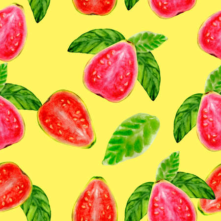 Seamless pattern of watercolor juicy guavaの写真素材