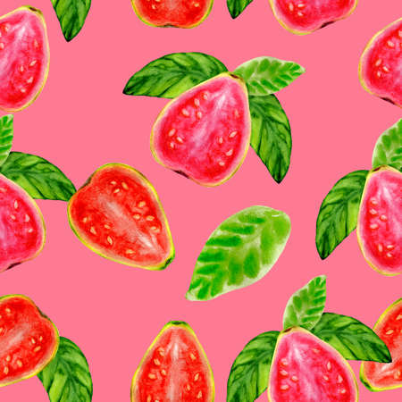 Seamless pattern of watercolor juicy guavaの写真素材