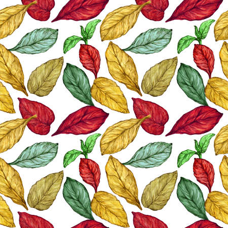 Watercolor seamless pattern of autumn leavesの写真素材