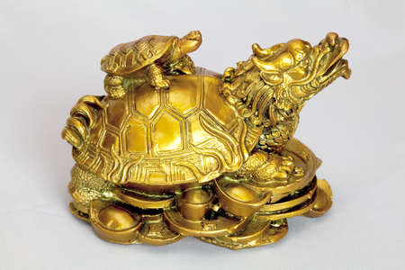 side of golden mother turtle with baby on her back on a light grey backgroundの写真素材
