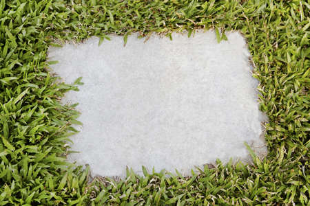 angled flagstone stepping stone embedded in a natural non grass lawn, copy space on plaque, crop space and horizontal landscapeの写真素材