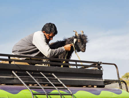 landscape in Jammu Kashmir man and his goat travelling accross region on the roof rack of a colorful mini busの写真素材