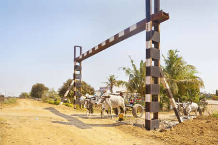 A pair of Bullock carts the local infrastructure risk danger on the approach to an unmanned rail crossing passing by a hinterland village on March 1, 2013 in Gujarat indiaのeditorial素材