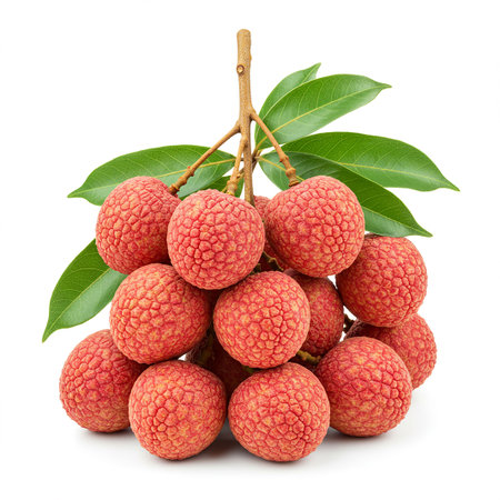 Fresh lychee fruits with leaves isolated on a white background.の素材