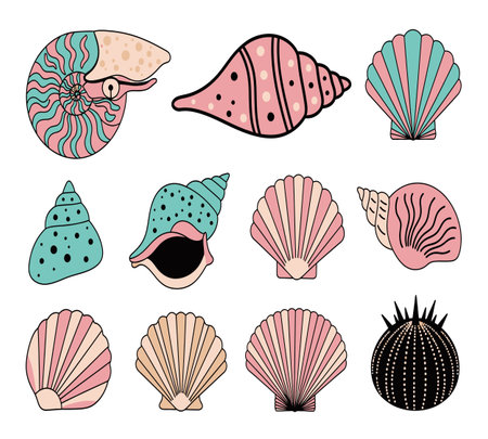 Set of sea shells. Vector illustration in doodle style.の素材