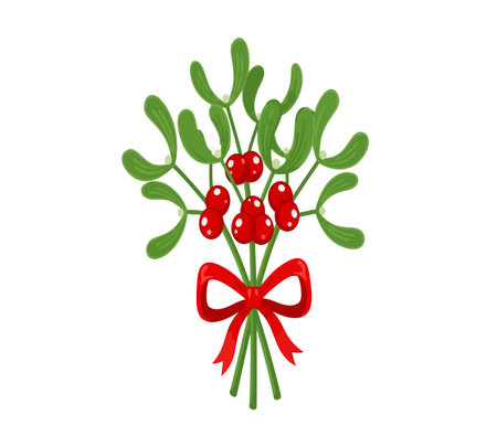 Mistletoe bunch with red bow isolated on white background. Vector illustration.の素材