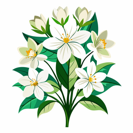 White flowers with green leaves in bloom.のイラスト素材