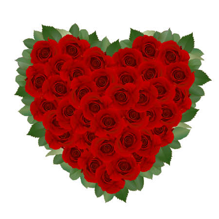 Romantic Card With Red Roseのイラスト素材