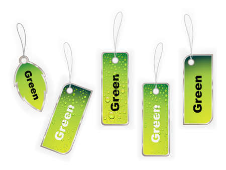 Vector. Green label のイラスト素材