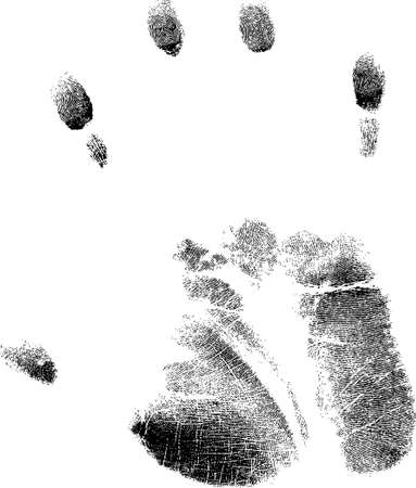 fingerprint /vector/のイラスト素材