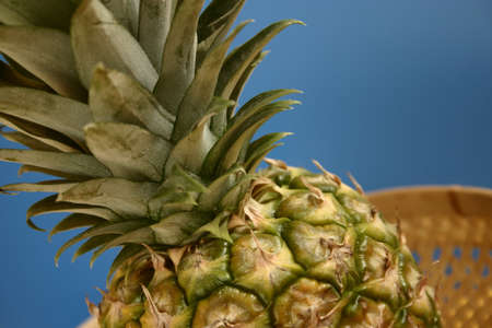 Pineapple and grapes on yellow background の写真素材