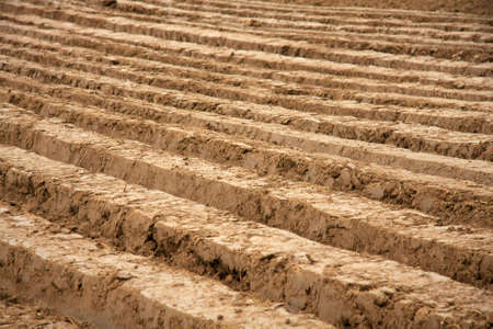 Plowed field in early autumnの写真素材