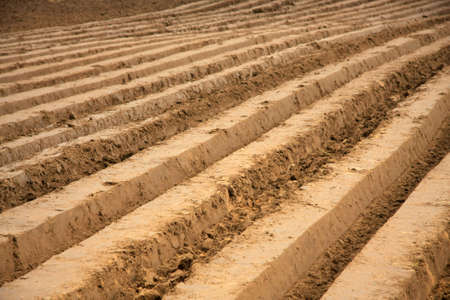 Plowed field in early autumnの写真素材