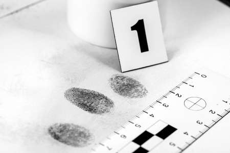 View of a fingerprint revealed by printing.の写真素材