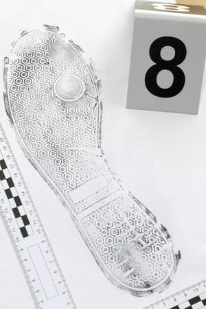 Footprint shoe protector disclosed during the examination.の写真素材