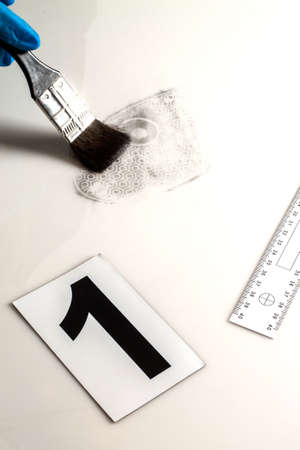 Revealing and preserving the shoe prints- investigation of the scene.の写真素材