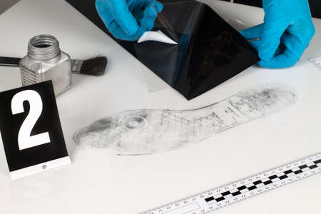 Revealing and preserving the shoe prints- investigation of the scene.の写真素材