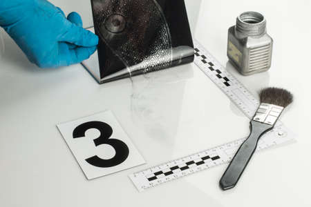 Revealing and preserving the shoe prints- investigation of the scene.