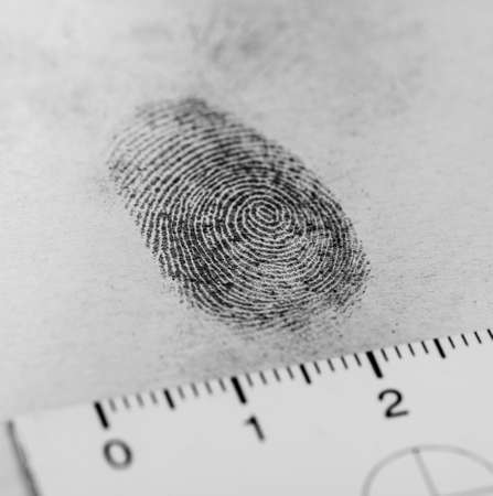 View of a fingerprint revealed by printing.の写真素材