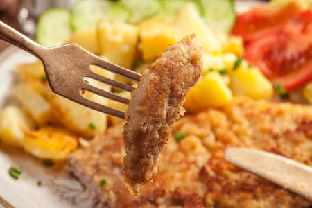 Fried pork chop with potatoes and vegetable salad.