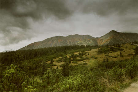 Autumn landscape in mountains. Vintage style.