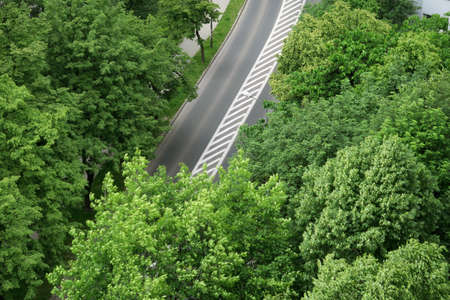 Aerial view of the street and trees.の写真素材