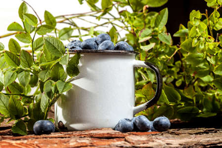 Tasty forest blueberries in a metal cup.の写真素材
