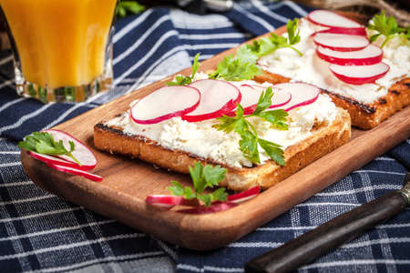 Light healthy sandwiches with bread toasts, soft cheese and freshly gathered organic radishes and parsley.の写真素材