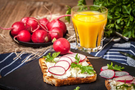 Light healthy sandwiches with bread toasts, soft cheese and freshly gathered organic radishes and parsley.の写真素材