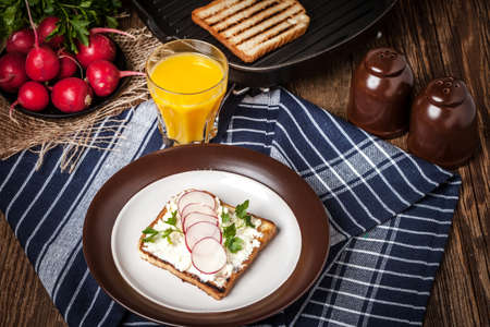 Light healthy sandwiches with bread toasts, soft cheese and freshly gathered organic radishes and parsley.の写真素材