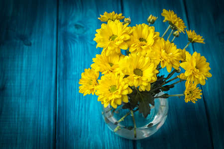 Yellow chrysanthemum flowers on a blue wooden table.の写真素材