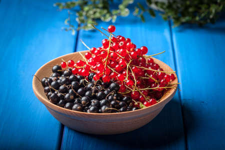 Redcurrant and blackcurrant in bowl on blue wooden table.の写真素材