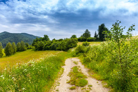 Landscape in Bieszczady Mountains. Bieszczady is a part of Carpathian mountains. Poland.の写真素材