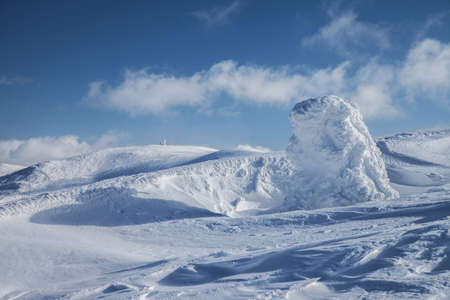 Frosty winter. Fantastic snow figures on trees.の写真素材