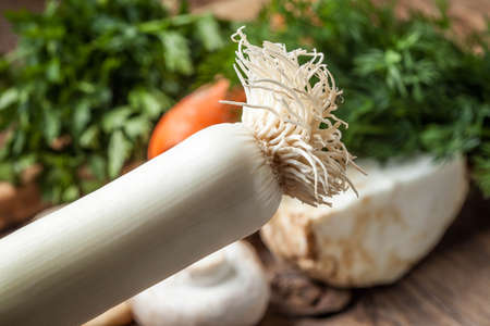 Vegetables to make broth: celery, carrot, parsley root, garlic, onion, leek.