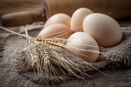 Raw organic farm eggs on the old background.の写真素材