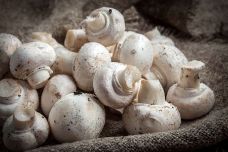 Harvest of white mushrooms on jute and wooden texture. Selective focus.の写真素材