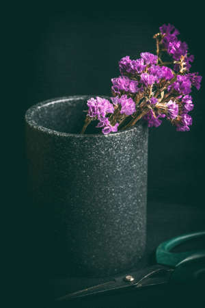 Dry flowers in a vase on a dark background.の写真素材