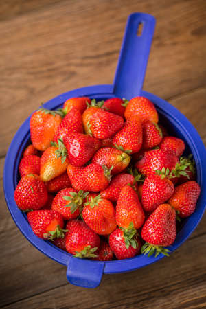 Fresh strawberries from a home garden in a colander.の写真素材