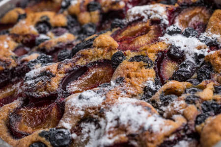 Yeast cake with plums and blueberries in a mold. Small depth of field.の写真素材