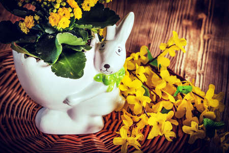 Flowers in a pot in the shape of Easter bunny. Filtered style.の写真素材