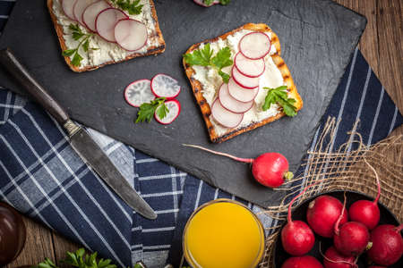 Light healthy sandwiches with bread toasts, soft cheese and freshly gathered organic radishes and parsley.の写真素材