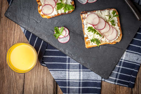 Light healthy sandwiches with bread toasts, soft cheese and freshly gathered organic radishes and parsley.の写真素材