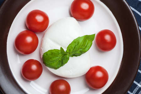 Mozzarella, tomato and basil on a plate.の写真素材
